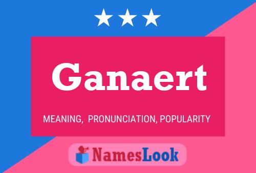 Ganaert Name Poster