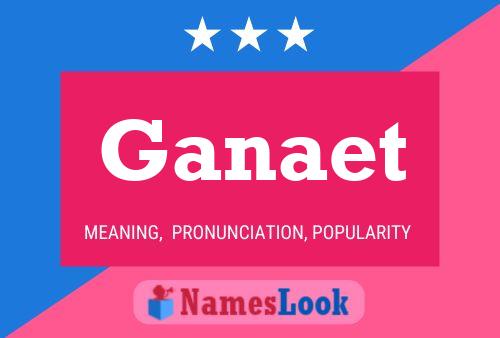 Ganaet Name Poster