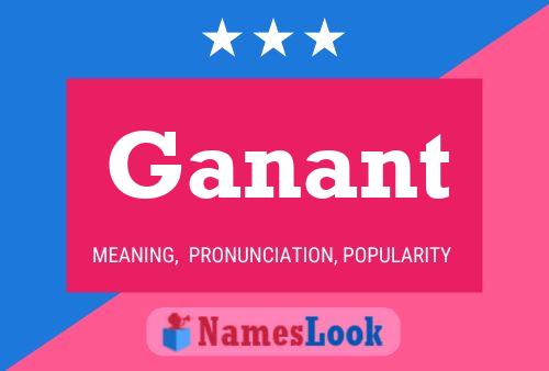 Ganant Name Poster