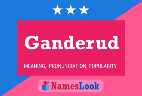 Ganderud Name Poster