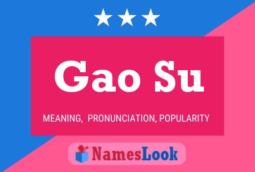 Gao Su Name Poster