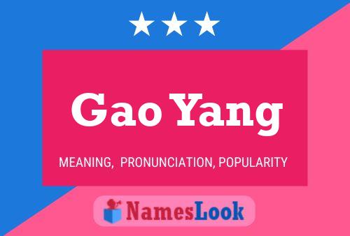 Gao Yang Name Poster