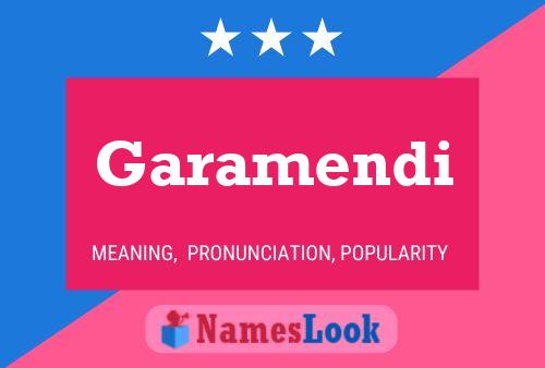 Garamendi Name Poster