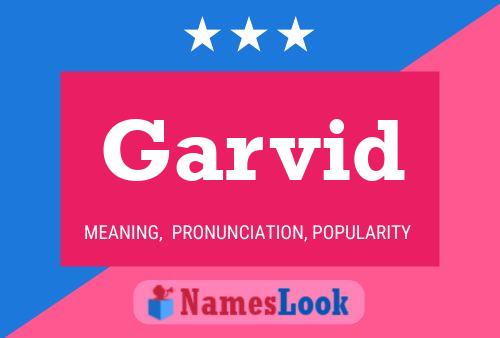 Garvid Name Poster