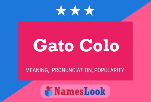 Gato Colo Name Poster