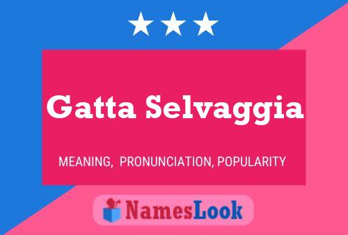 Gatta Selvaggia Name Poster