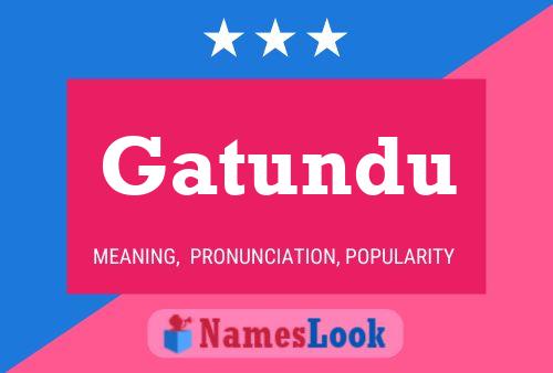 Gatundu Name Poster