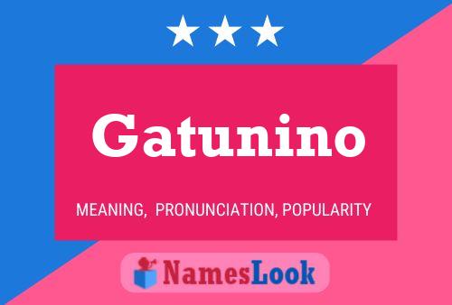 Gatunino Name Poster