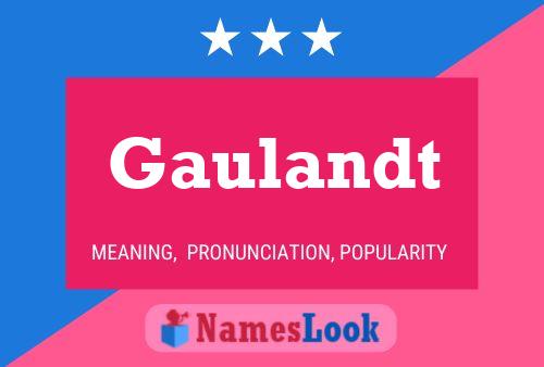 Gaulandt Name Poster