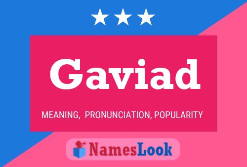 Gaviad Name Poster