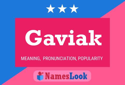 Gaviak Name Poster