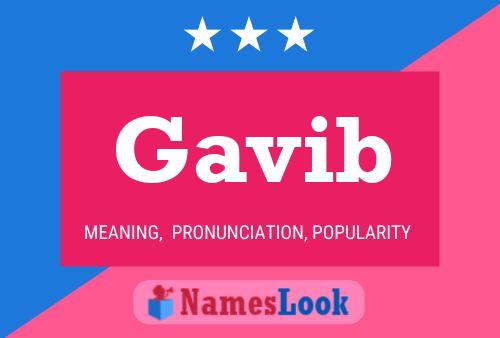 Gavib Name Poster