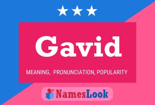 Gavid Name Poster