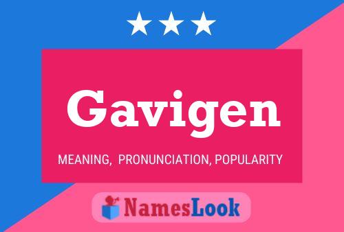 Gavigen Name Poster