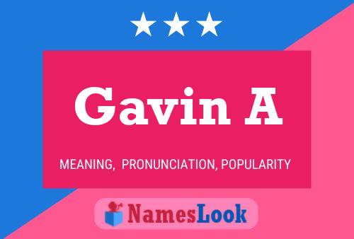 Gavin A Name Poster