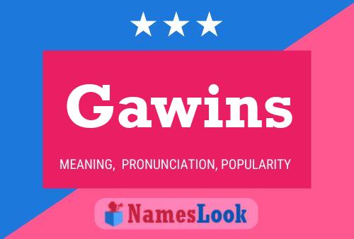 Gawins Name Poster