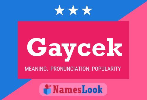 Gaycek Name Poster