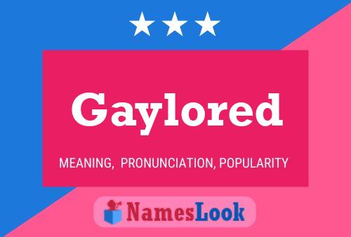 Gaylored Name Poster