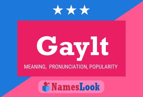 Gaylt Name Poster