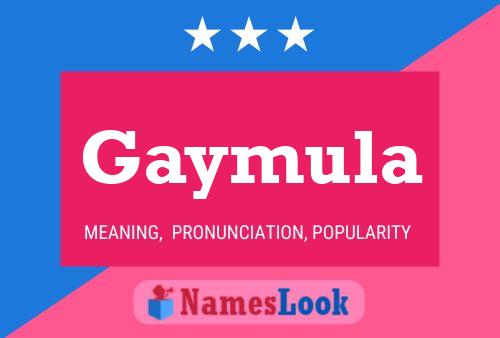 Gaymula Name Poster