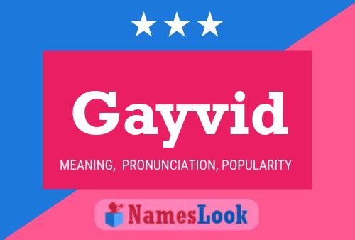 Gayvid Name Poster