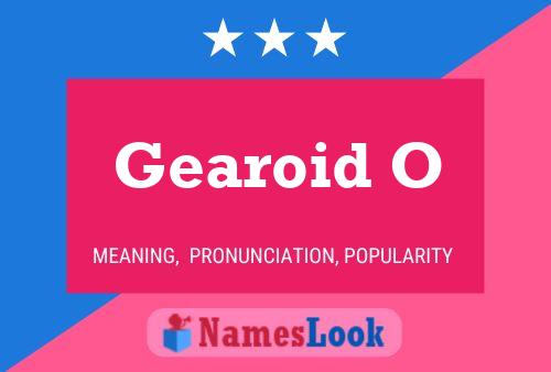 Gearoid O Name Poster