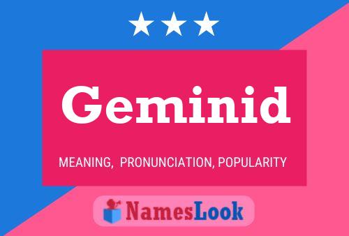 Geminid Name Poster