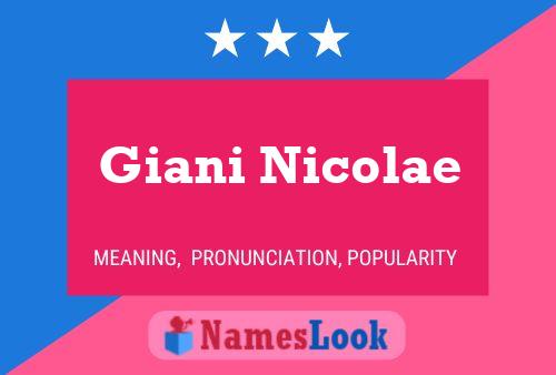 Giani Nicolae Name Poster