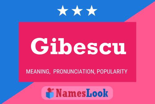 Gibescu Name Poster