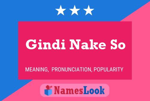 Gindi Nake So Name Poster