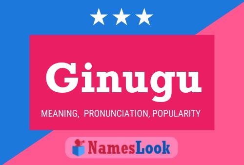 Ginugu Name Poster