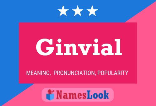 Ginvial Name Poster