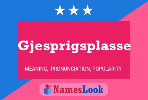 Gjesprigsplasse Name Poster