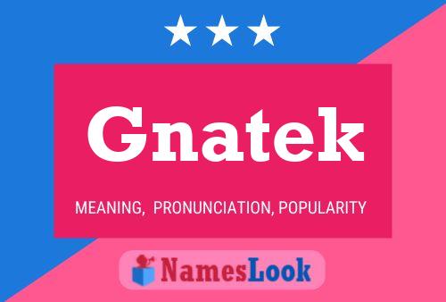 Gnatek Name Poster