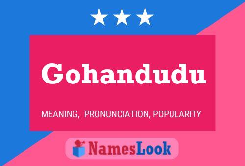 Gohandudu Name Poster