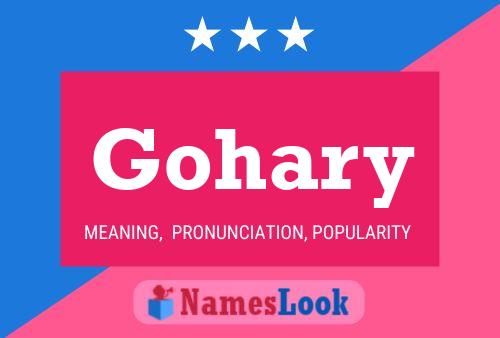 Gohary Name Poster