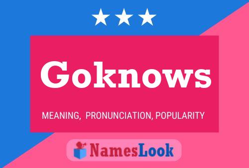 Goknows Name Poster