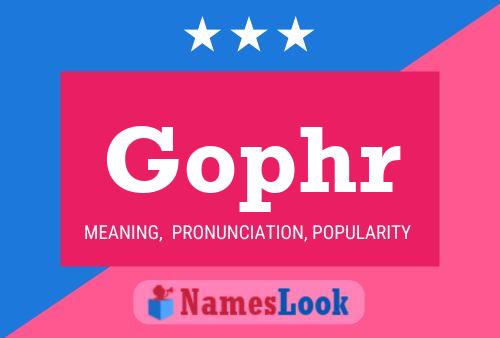 Gophr Name Poster