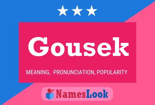 Gousek Name Poster