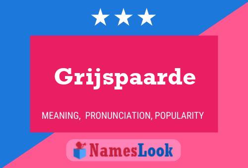 Grijspaarde Name Poster