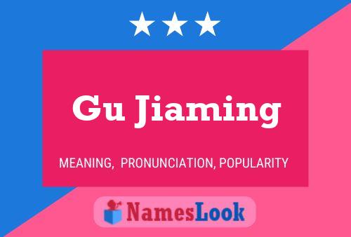 Gu Jiaming Name Poster