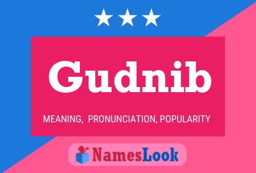 Gudnib Name Poster