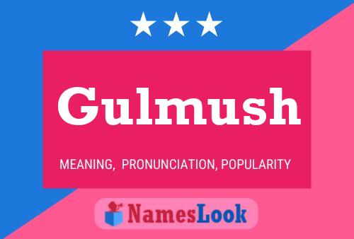 Gulmush Name Poster