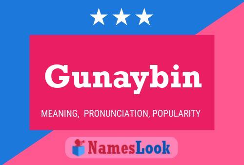 Gunaybin Name Poster