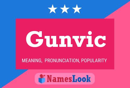 Gunvic Name Poster