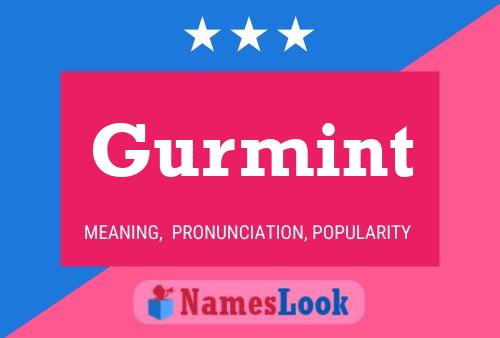 Gurmint Name Poster