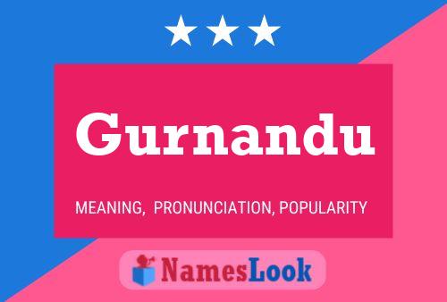 Gurnandu Name Poster