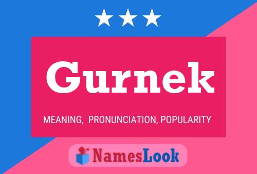 Gurnek Name Poster