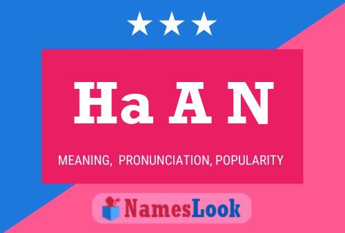 Ha A N Name Poster