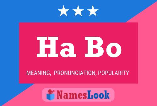 Ha Bo Name Poster